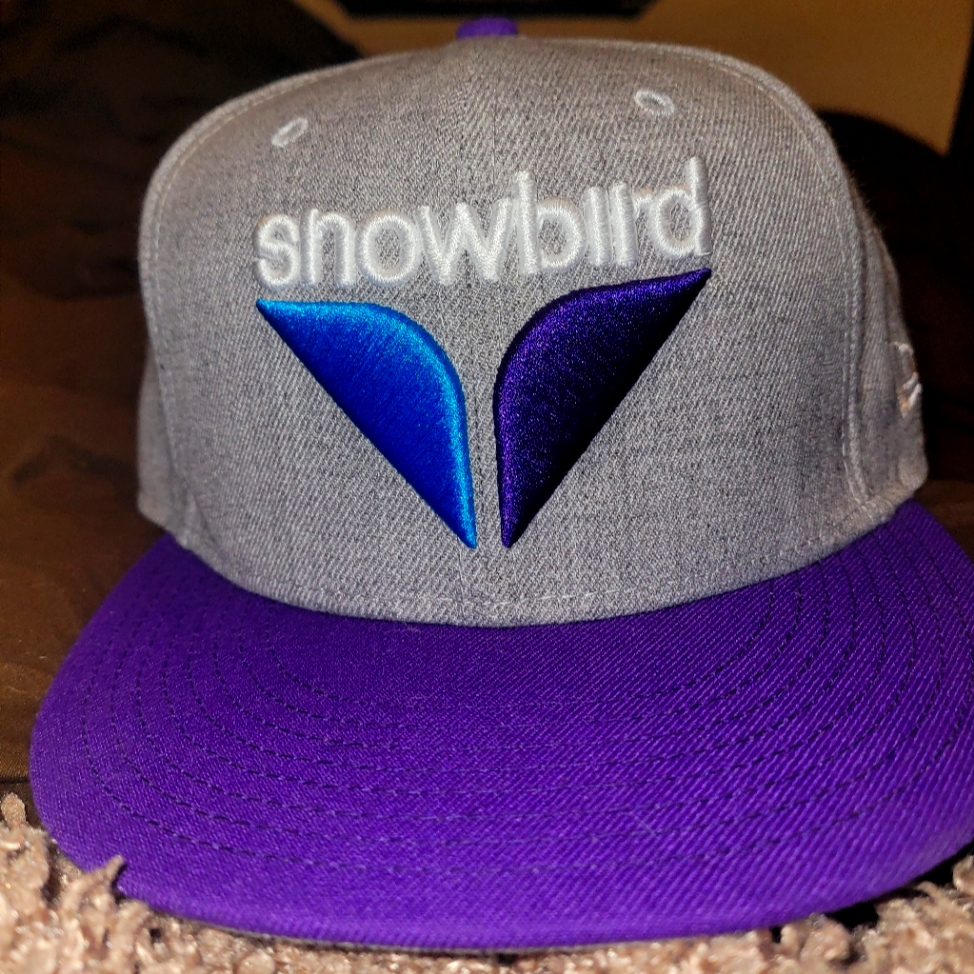New Era Snowbird Collab Rare Snapback